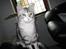 Blanding af racer Turbo #RIP# - go´daw med dig :) hyggeligt du ville komme forbi...
