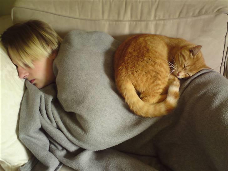 Huskat Viktor Borge - Vi var lige faldet i søvn... billede 14