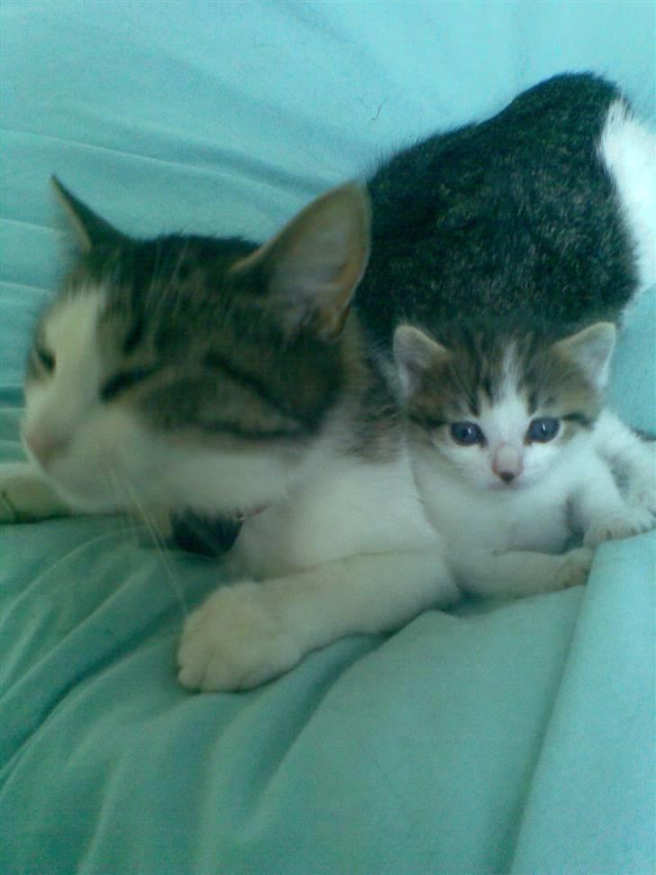 Huskat Nullemanden - Nulle manden sammen med sin mor :D <3 billede 9