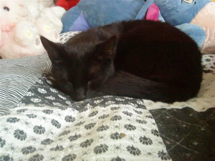 Huskat Pixi billede 14