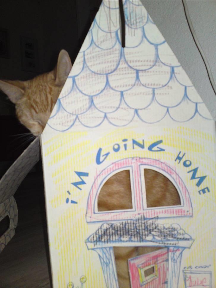 Blanding af racer Midde - Tak for mit nye hus Dorthe billede 5