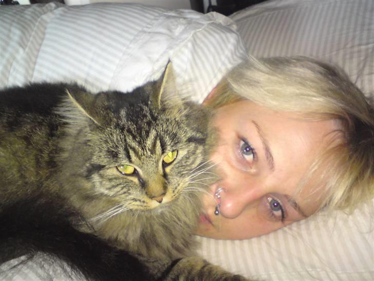 Blanding af racer Liva Weel - Liva når hun er klar til natten....hendes sovested. billede 10