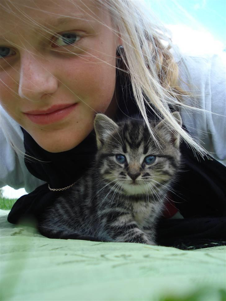 Huskat Jytte billede 4