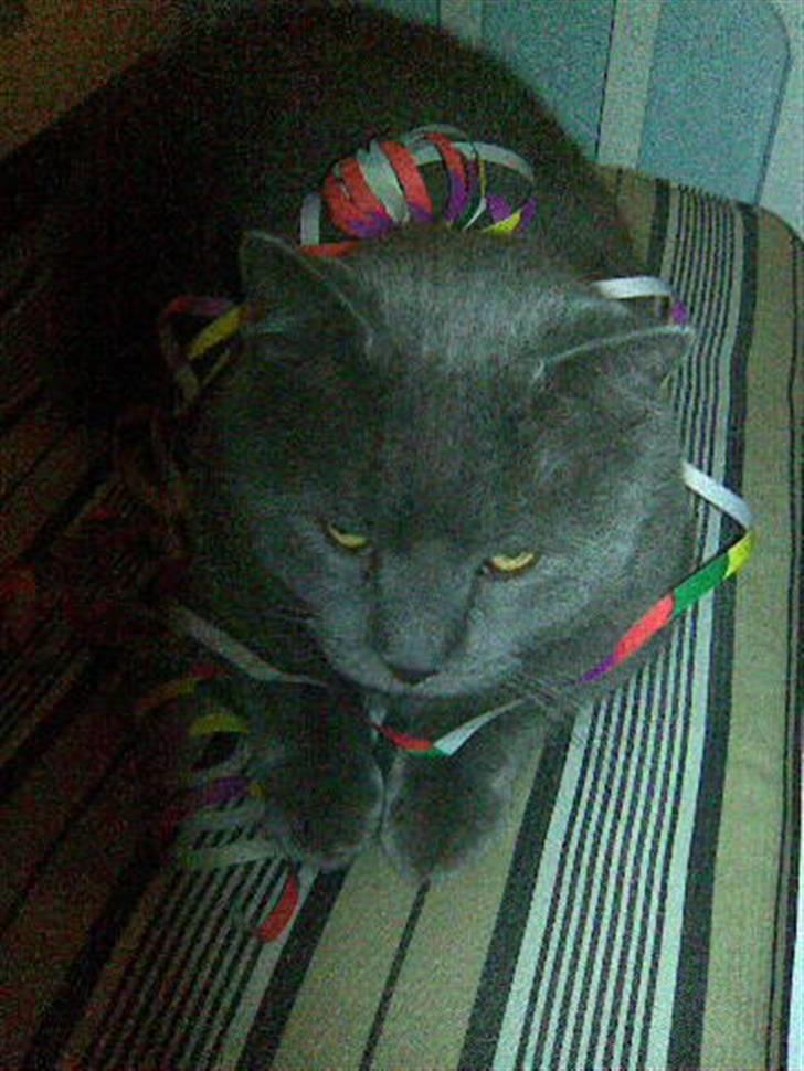 Blanding af racer Plys - Plys til nytår :D billede 7