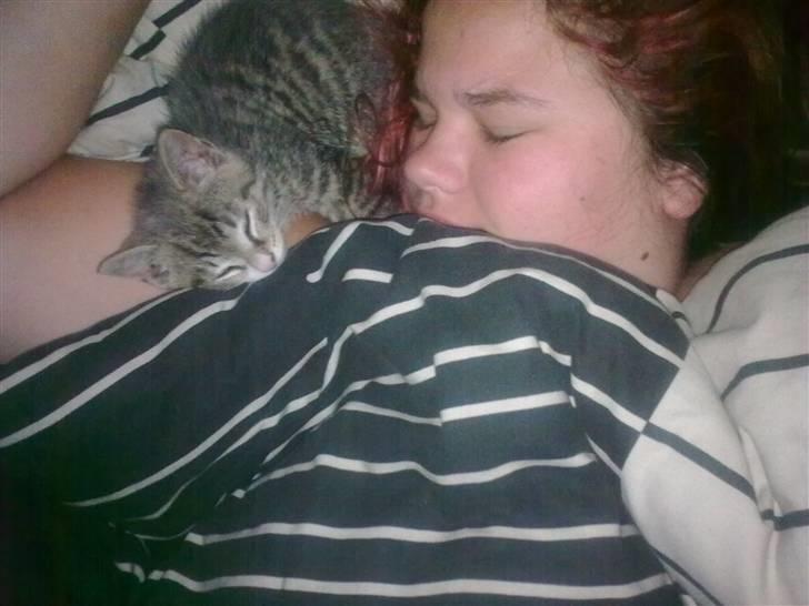 Huskat Neo - Sådan sover vi helst om natten :) billede 3
