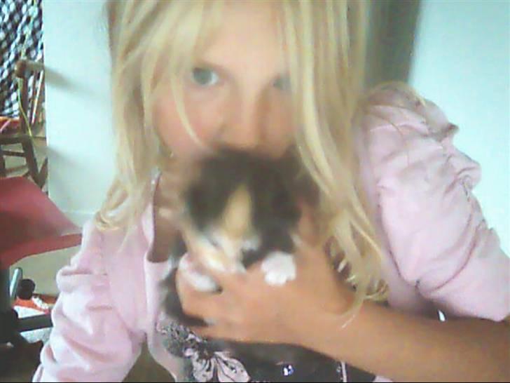 Huskat sofi r.i.p billede 2