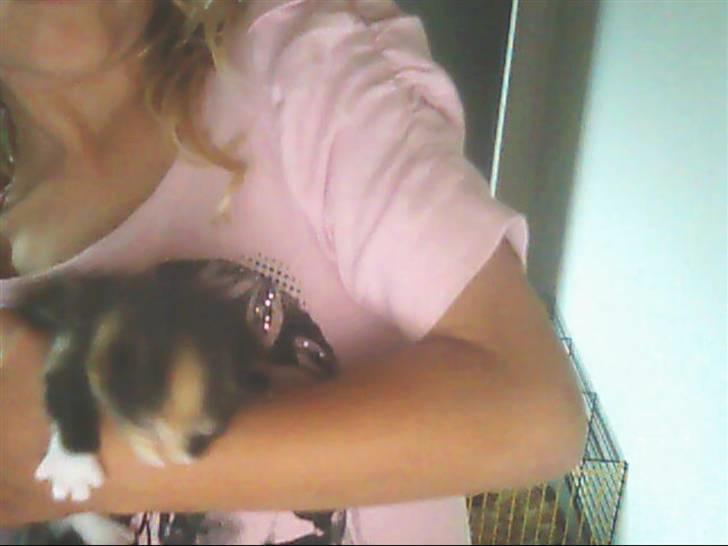 Huskat sofi r.i.p billede 3