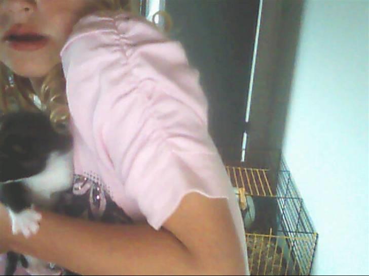 Huskat sofi r.i.p billede 4