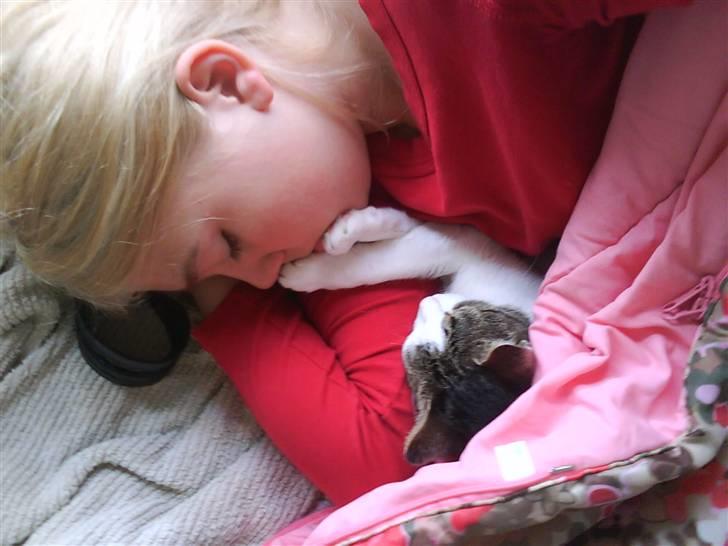 Huskat Mille *Elsket!* - Venskab! billede 13