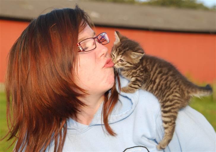 Huskat Hegnsholts Sally <3 - Mysser til Sally :D <3 billede 9