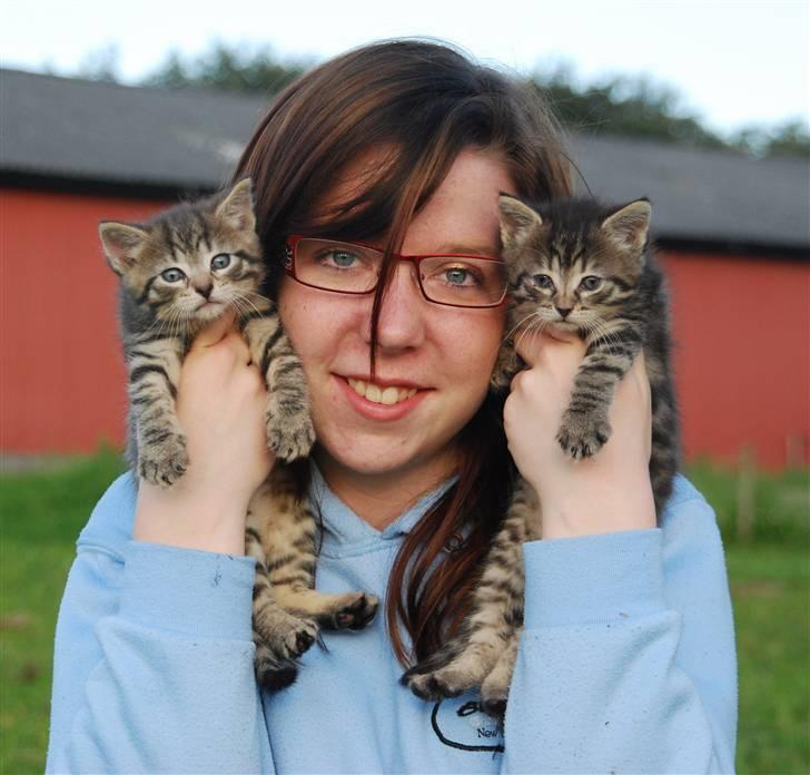 Huskat Hegnsholts Sally <3 - Sally til højre og hendes bror Samson til venstre :D 23. juni 2009. billede 11