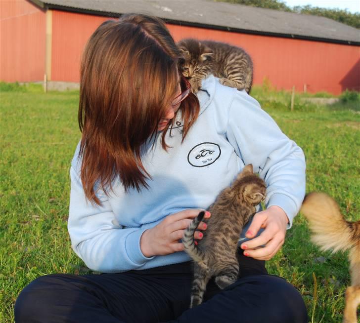 Huskat Hegnsholts Sally <3 - De er dejlige :D <3 billede 12
