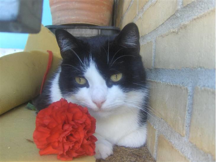 {{currentPhoto.altText}} billede {{currentPhoto.number}}