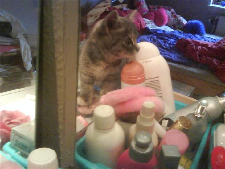 {{currentPhoto.altText}} billede {{currentPhoto.number}}