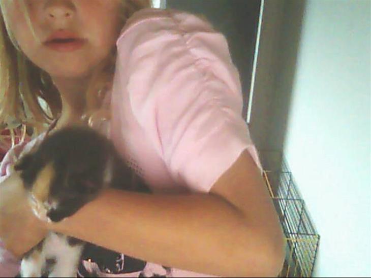 Huskat sofi r.i.p billede 1