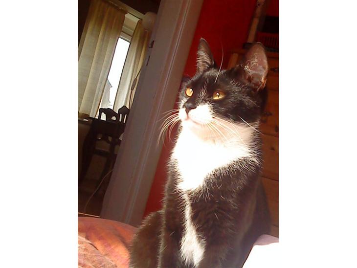 {{currentPhoto.altText}} billede {{currentPhoto.number}}