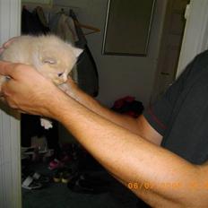 Huskat chap (DØD) :(