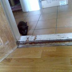 Blanding af racer Fidus