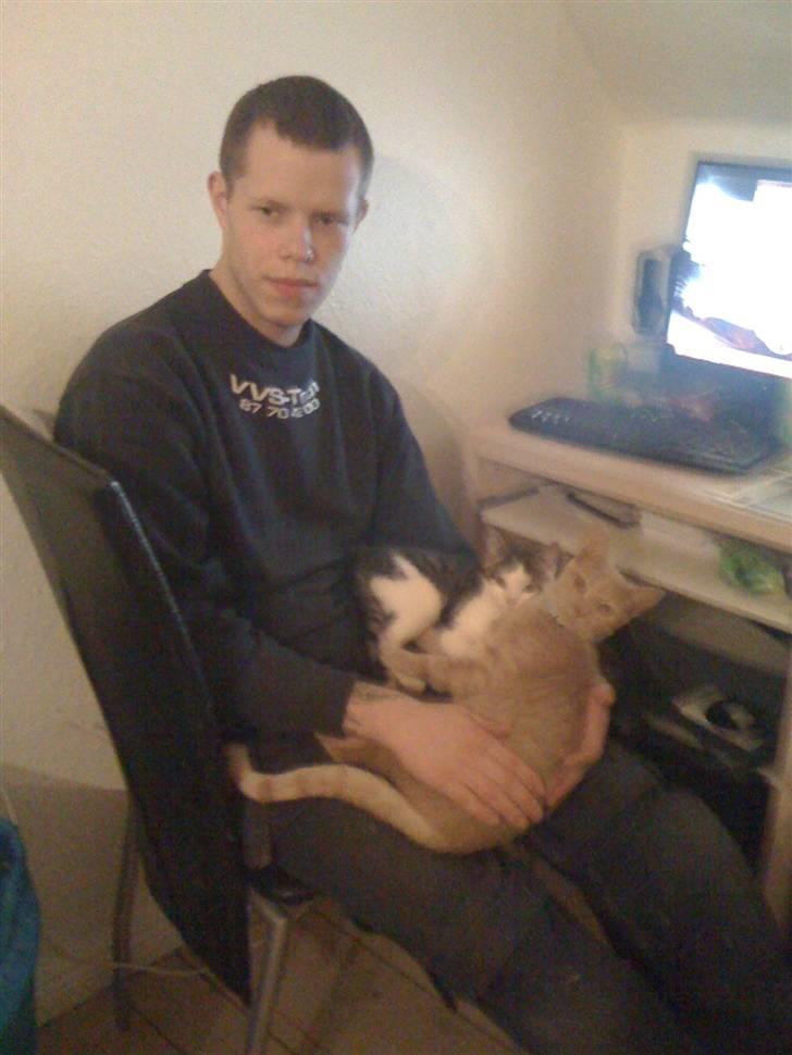 Huskat Simba - Kenny, Bittemis og Simba billede 19