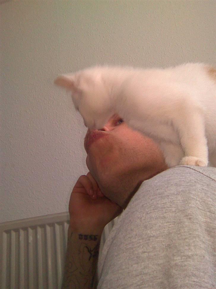 Huskat Pjevs - Hun kan også kysse. billede 17