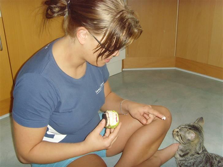 Blanding af racer Civic - Spiser Kaj kage med mor. billede 4