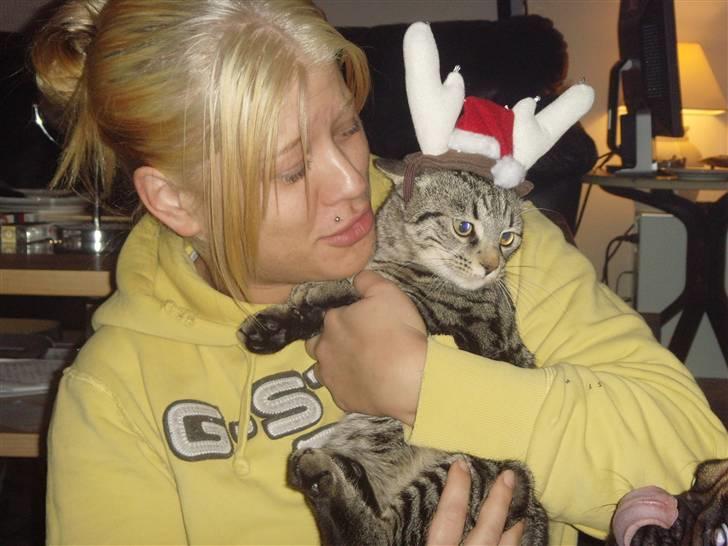 Blanding af racer Civic - Ikke yderst tilfreds, hehe men nuttet. billede 6