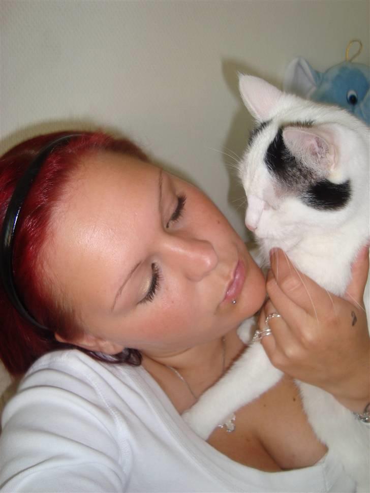 Huskat Anders billede 1