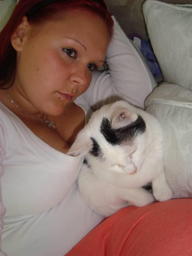 Huskat Anders billede 2