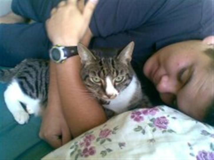 Huskat Rasmus billede 18