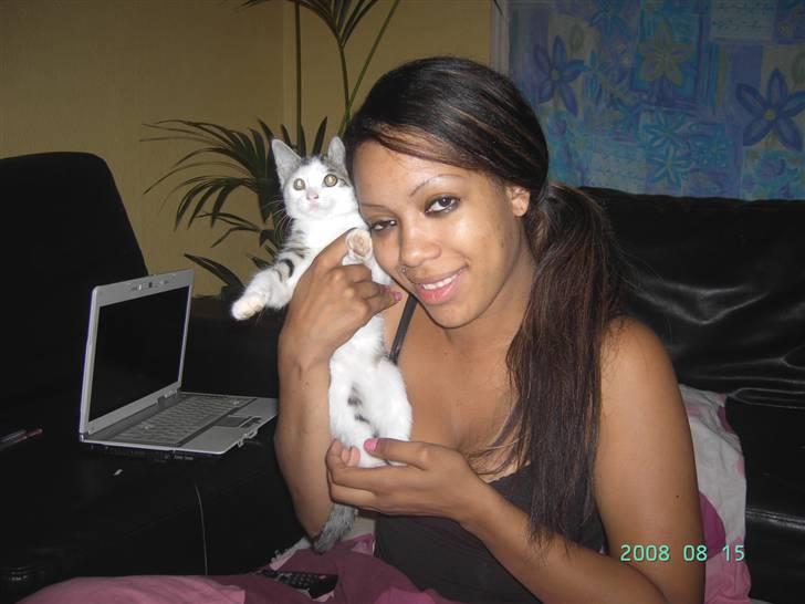 Blanding af racer Pussy - Pussy nogle uger efter hun havde "fået lov at bo her" billede 4