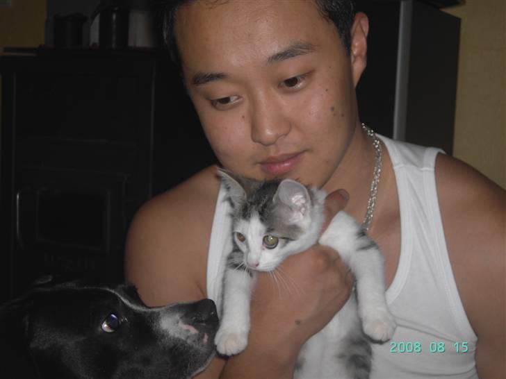 Blanding af racer Pussy billede 9