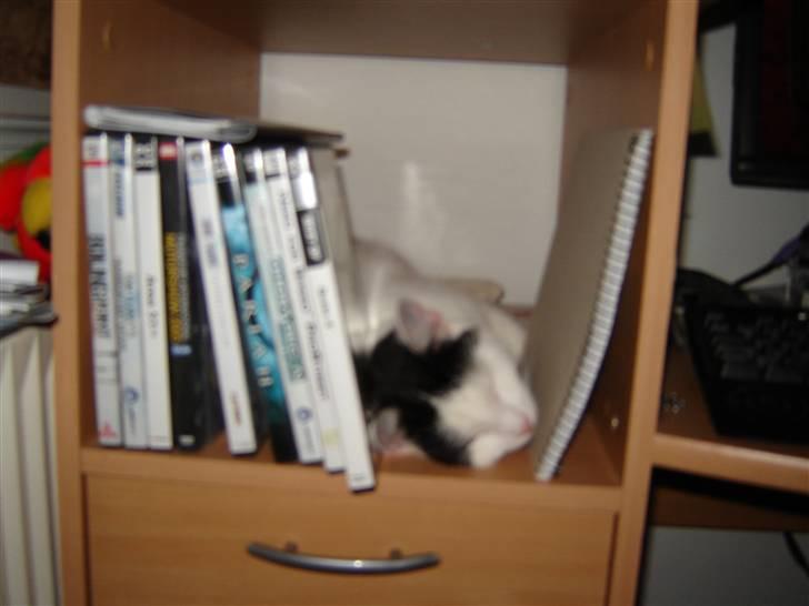 Huskat Whiskey billede 3