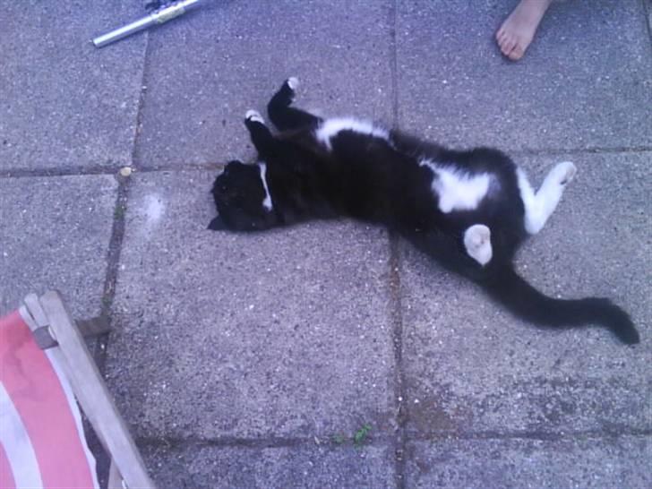 Blanding af racer Batman billede 17