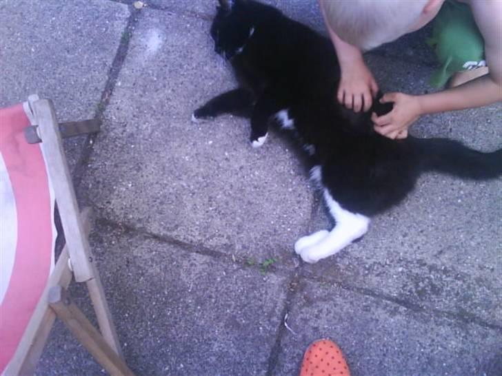 Blanding af racer Batman billede 18