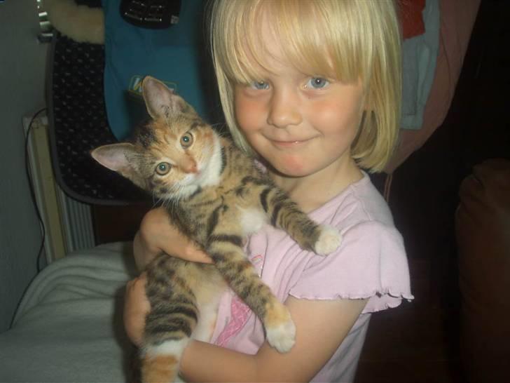 Blanding af racer Miv - Så er der dømt kæletid..... billede 7