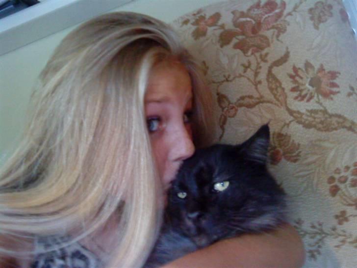 Maine Coon Mitzy billede 5