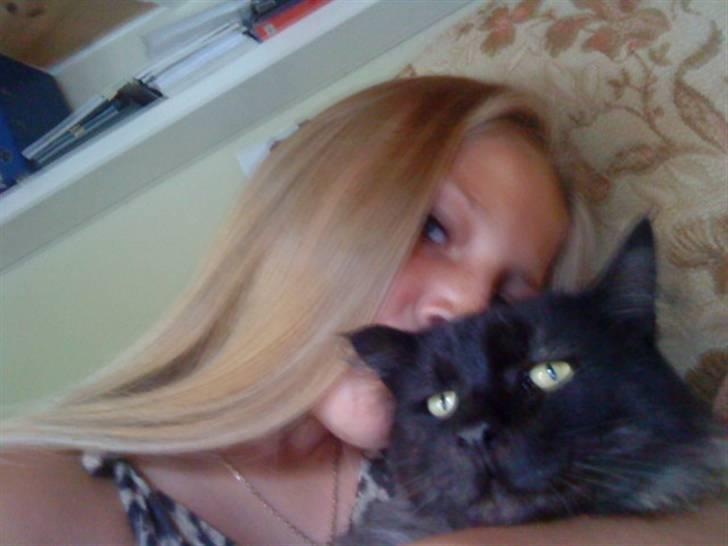 Maine Coon Mitzy billede 6