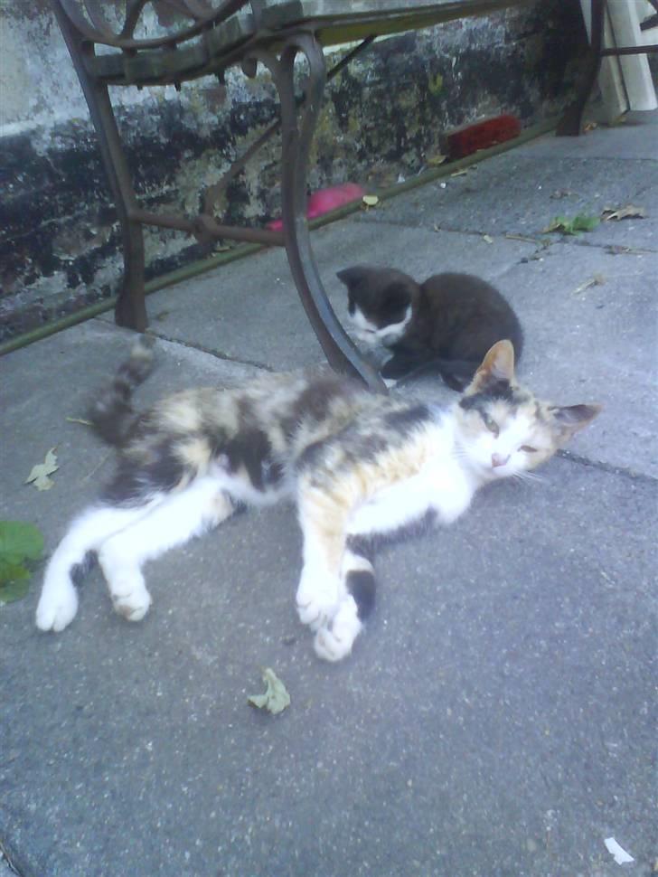 Huskat mille:) - er de ik søde mor og søn billede 17