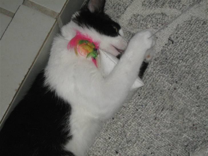 Blanding af racer scooter billede 7