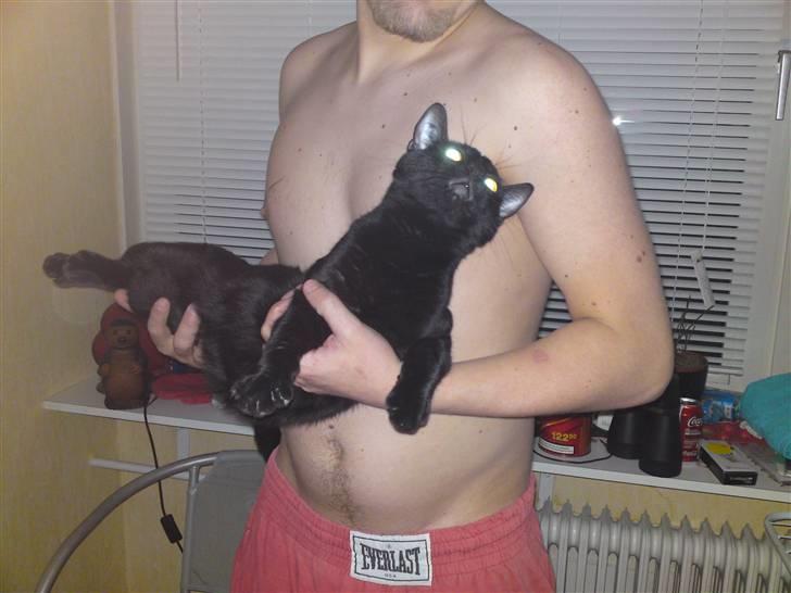 Huskat Obelix - far har jeg ikke været nok model nu...  billede 5