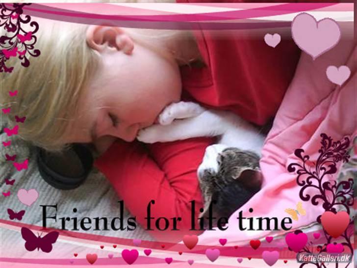 Huskat Mille *Elsket!* billede 20