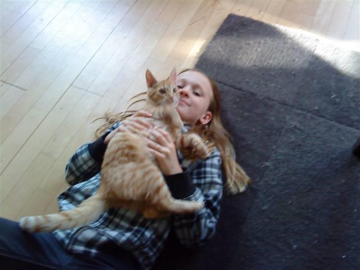 Huskat felix - mig og min mor billede 5