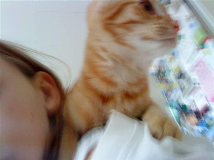 Huskat felix - mig og min mor billede 7