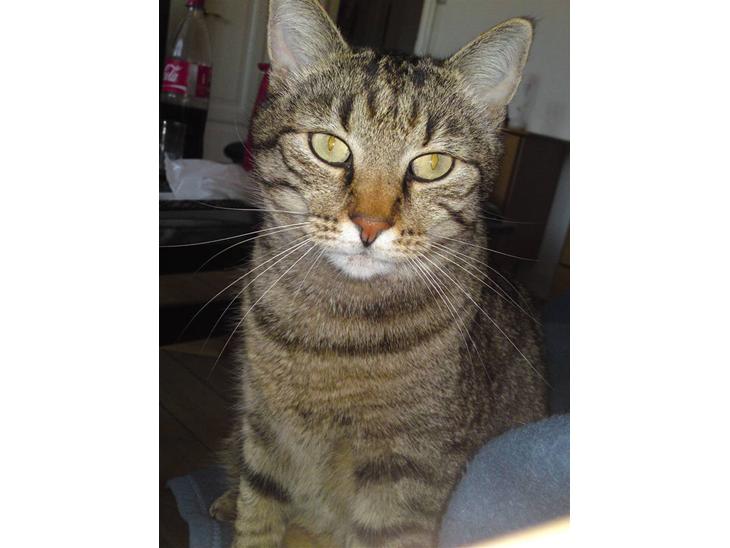 {{currentPhoto.altText}} billede {{currentPhoto.number}}