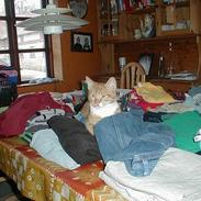 Blanding af racer Kalo DøD