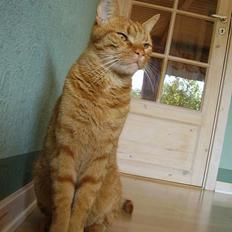 Blanding af racer Oliver