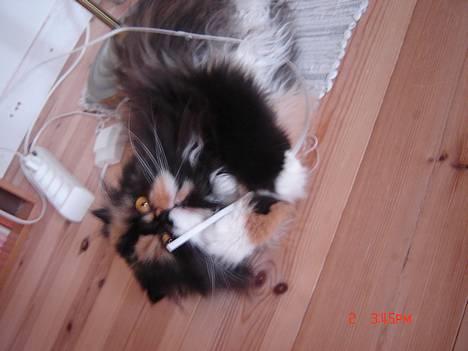 Perser Emma *Død* - Der leges! billede 11