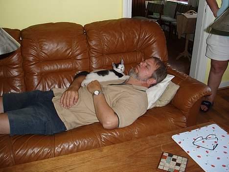 Huskat Pjævse død d. 25/7-08 - Sommer 2004 Pjævse er ca. 2 måneder gammel, sover hos min far billede 2