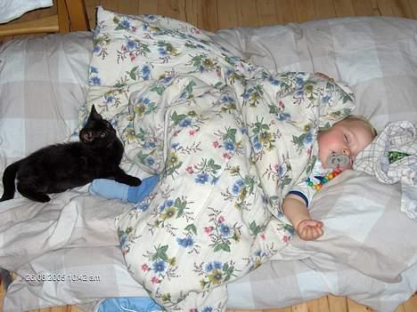 Huskat blackie - her putter jeg lige med min fætter billede 11