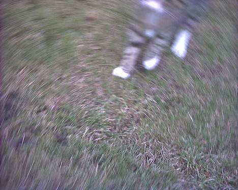 Blanding af racer Fie billede 4